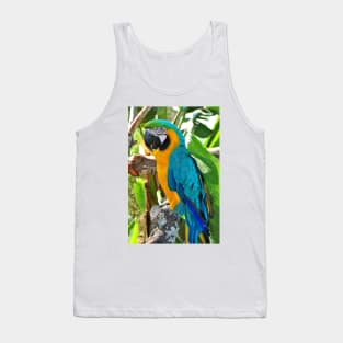 Macaw Parrot Yellow And Blue Bird Tank Top